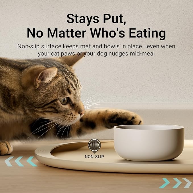 DownyPaws Cat Food Mats for Floors Waterproof, BPA Free Silicone Pet Food Mat, Non-Slip Pet Food Mat with High Raised Edge, Cat Placemat for Messy Drinkers, 18"×12.5", Almond (Pack of 2)