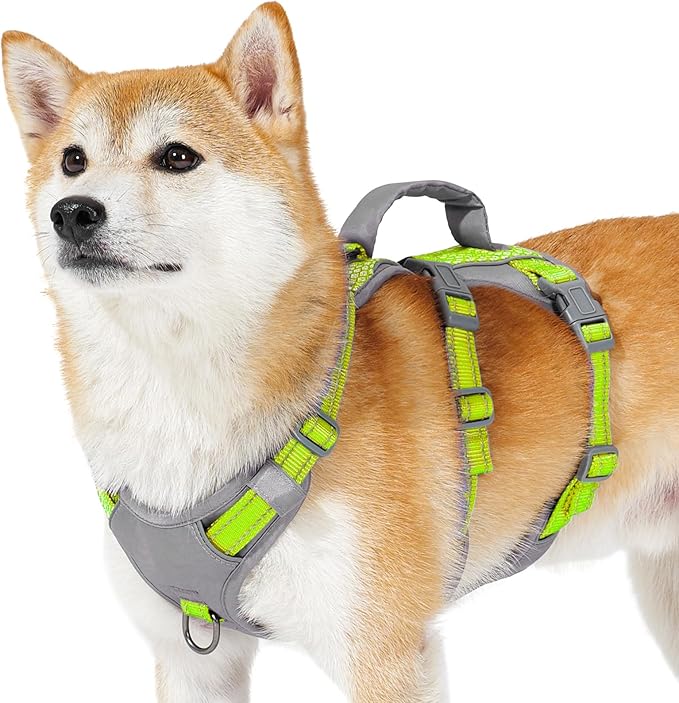 Huntboo Reflective Dog Harness with Handle, Escape Proof, No Slip, Breathable, Lightweight, Adjustable Lift Harness for Small, Medium, and Large Dogs Walking, Training,and Running Gear(Bright Green,S)