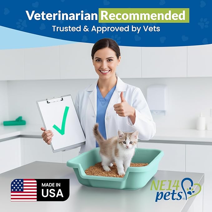 KittyGoHere Senior Cat Litter Box, Small Litter pan, Open Top Low Entrance Kitty Litter Box, Lightweight Low Entry Litters Box, Durable, Made in USA (Green)