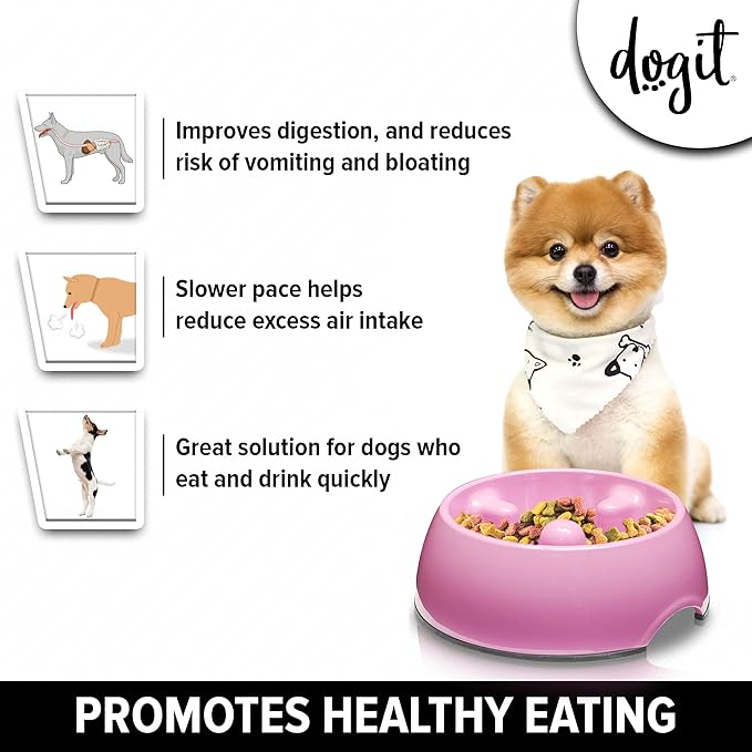 Dogit Dog Bowl Slow Feeder, Pink, XS, Non-Slip Base, Easy to Clean, Promotes Healthy Eating