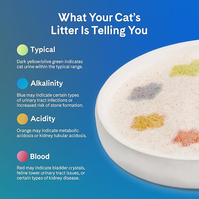 PrettyLitter Health Monitoring Cat Litter (Calm Aloe, Non Clumping) | Lightweight & Low Tracking, Color Changing Silica Gel Crystals, Advanced Odor Control — 6 Lbs, Pack of 1 (Up to 1 Month Supply)