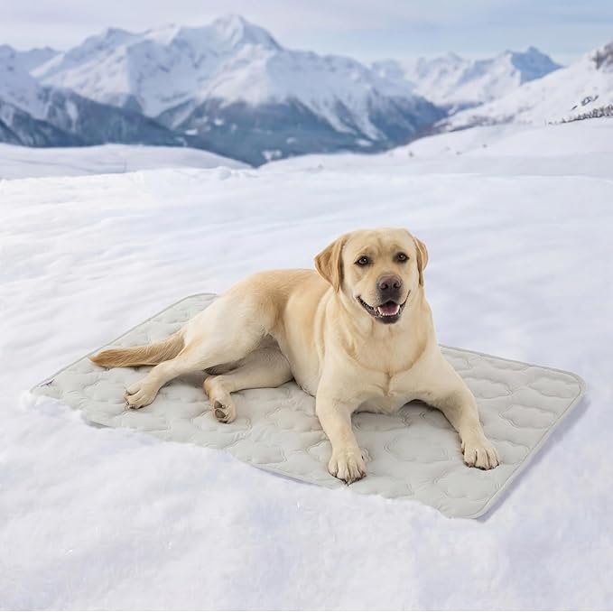 LE SURE Dog Cooling Mat for Extra Large Dogs -Q-Max>0.5 XL Breathable Thin Cool Crate Pad with Chill Cold Fiber and Innovative Mesh Base Design, Portable Washable Pet Kennel Mat for Summer,44x30,Grey