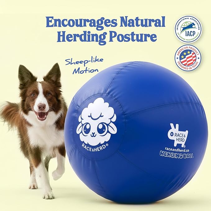 Race&Herd 22" Original XXL Herding Ball for Dogs - Herding Toys, Giant Dog Ball for Australian Shepherds, Border Collies - Durable Dog Outdoor Training Toy for Small & Medium Breeds (Blue)