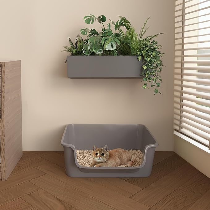 Open-Top Large High Sides Cat Litter Box with Low Entrance, Suitable for Small and Elderly Cats, Anti-Splash, 19.8” x15.6”x7.3” for Indoor Use (Grey（Moon Gray）)
