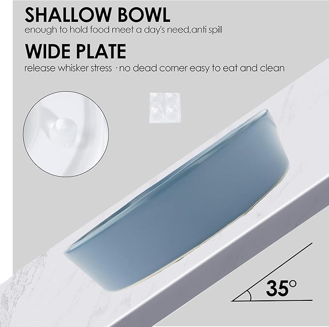 Ceramic Slow Feeder Dog Bowl for Small Dogs & Cats, 6 Inch Puzzle Pet Food Dish, Non-Slip Heavy Design, Helps Reduce Fast Eating, Bloating & Indigestion, Dishwasher Safe (Deep Ocean Blue)
