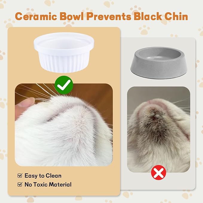 Elevated Adjustable Cat Bowl Set with 2 Dishes for Cats & Small Dogs - Anti-Vomiting,15° Tilted and Rasied Bowls with Non-Slip Design, Food-Grade Ceramic, Easy to Clean