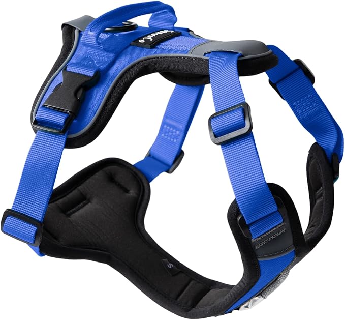ShawnCo Basecamp Dog Harness, No-Pull Pet Vest with 3 Leash Clips, Padded, Reflective, Lightweight and Adjustable Harness with Handle for Small, Medium and Large Dogs (Electric Blue, XS)