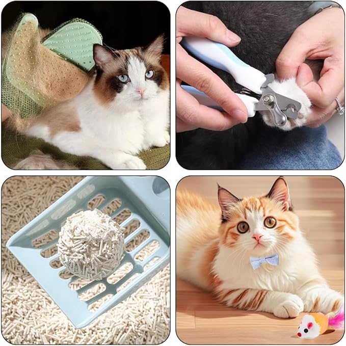 Kitten Starter Kit - 16 Pcs Cat Essentials Set Includes Litter Box, Toys, Collars, Scratch Pad, Nail File, Automatic Feed Bowls, Grooming Gloves (Blue, 16 Pcs)