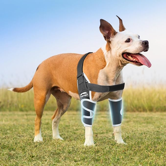 Dog Front Leg Brace for Pets Elbow Dysplasia - Offers Elbow Support, Helps Wound Healing, Reflective Pet Recovery Suit Taper Collar Alternative, Prevents Licking and Biting, L