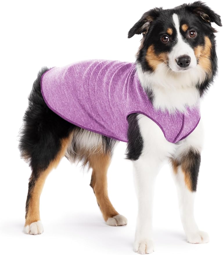 Goldpaw Dog Sun Shirt with UV Protection - Lightweight, Cooling Sun Protection Clothing for Dogs - Reduce Heat Absorption - Pet Clothes Made in The USA - Machine Washable - Violet - Size 14