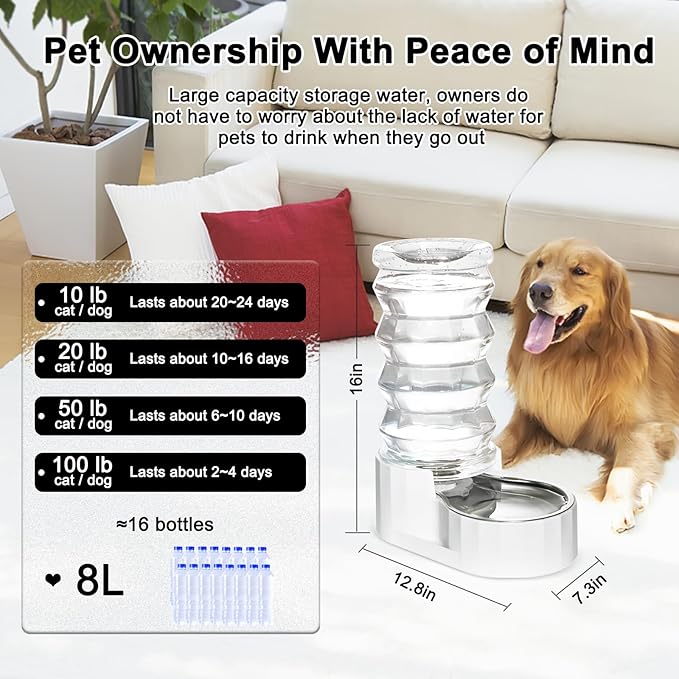 RIZZARI Large Gravity Water Dispenser: 8L Automatic Water Feeder with Stainless Steel Bowl - Two Caps and Filters for 30-60 LB Dogs with Spinal Issues - for Living Room Garage