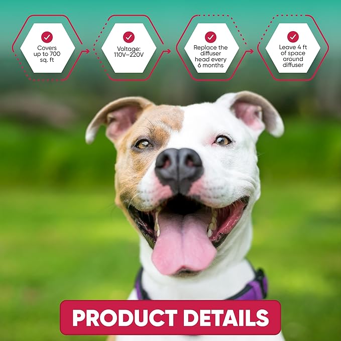 Calming Diffuser for Dog: Appeasing Dog Pheromones Calming Diffuser Plug in Kit for Separation Anxiety, Stress Chewing, Peeing Accidents, 2 Diffusers + 2 Refills (Teal) (Teal)