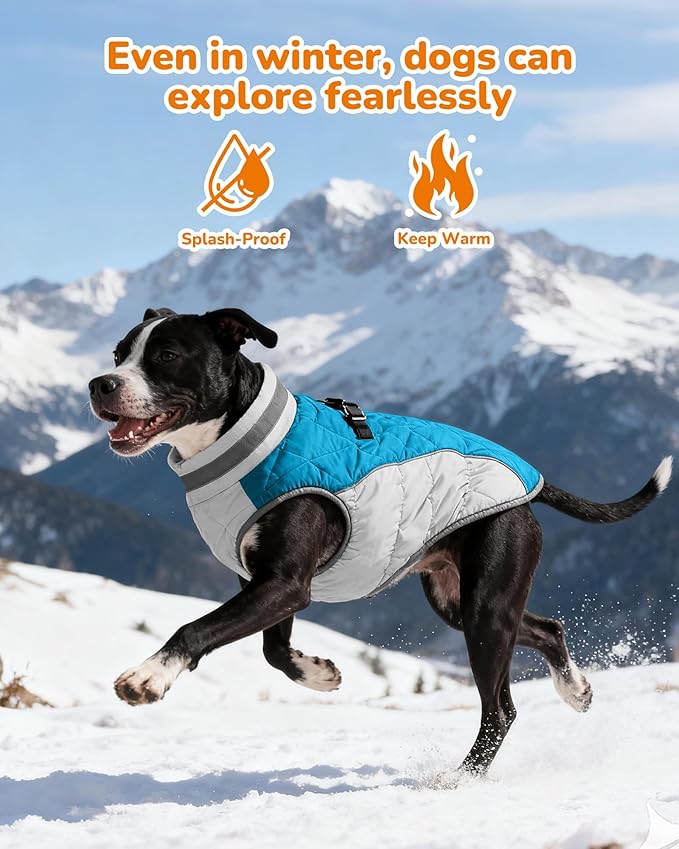 Dog Coat for Small Dogs, Adjustable Dog Jackets for Cold Weather, Reflective Winter Coat with Built-in Harness, Snowsuit Fits Dogs 7-14 lbs and Up, Size S Blue