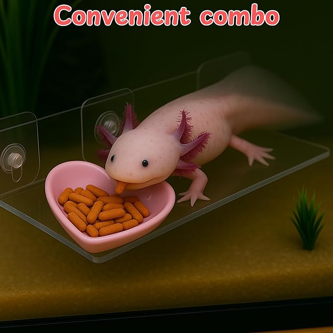 Axolotl Hammock Ledge for Aquarium Tank Accessories and Feeding Dish, Axolotl Hammock with Ceramic Tray Feeder Bowl, Axolotls Accessories for Tank, Bearded Dragon Reptiles Supplies (Pink, 12x6 in)