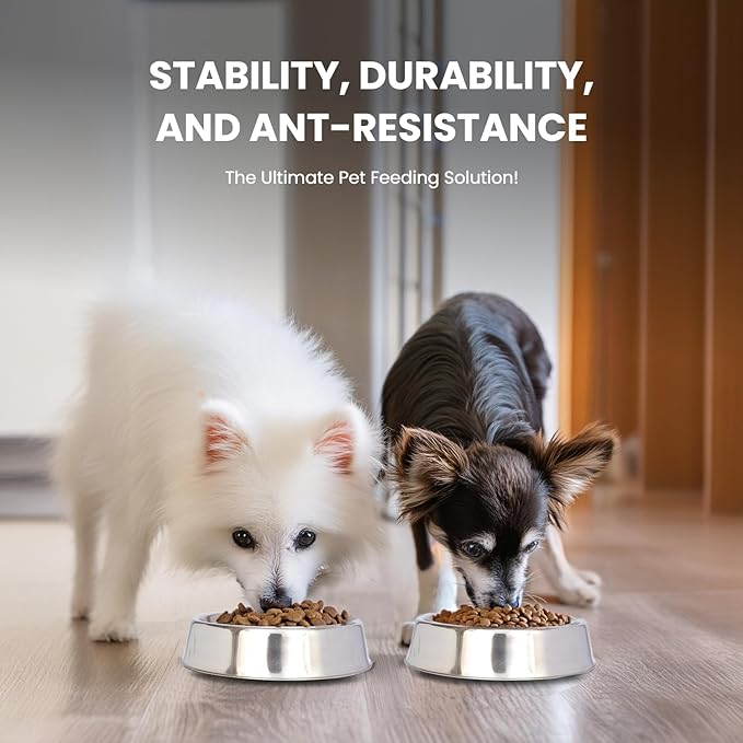 Iconic Pet Stainless Steel Non Skid Pet Bowl for Dog or Cat with Raised Rim Dishwasher Safe Pet Food and Water Bowl in Varying Sizes (8 Oz)