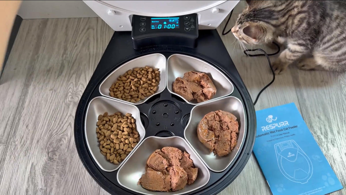 Automatic Wet Food Cat Feeder, 3 Days 5 Freshness Me | Smart Feeding S - Image 8