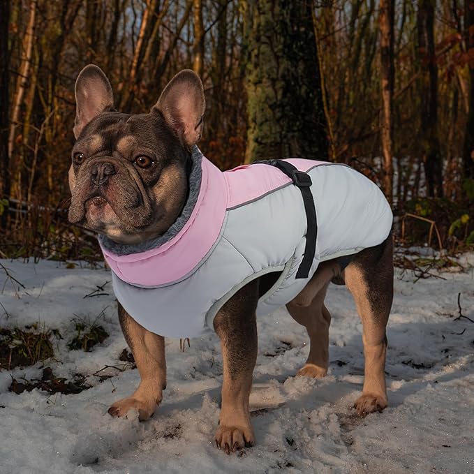 IECOii Extra Warm Dog Coat - Reflective, Adjustable Winter Jacket with Buckle & Fleece Turtleneck Dog Jackets for Small Dogs, Waterproof & Windproof Fleece Vest for Cold Weather, Pink, Small