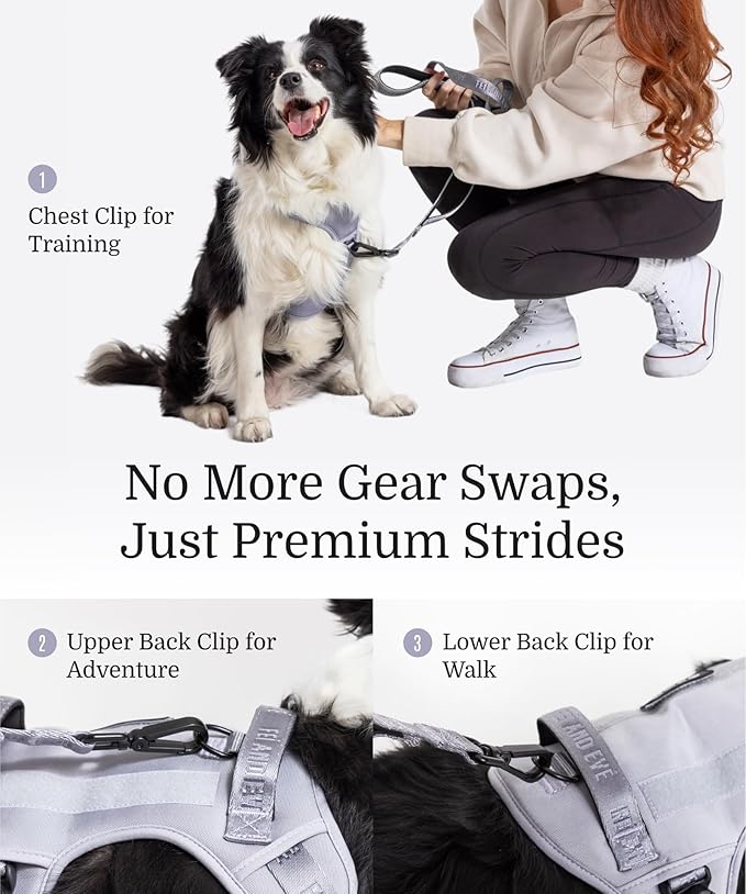 2025 New Edition, Fei & Eve Classic Dog Harness - Quick-Release Buckles | 3-Point No-Pull Control | Heavy-Duty 900D Nylon | Dual Safety Handles | Breathable Mesh | Adjustable Fit | Medium,Gray