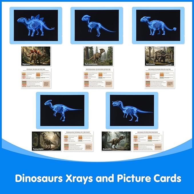 15 Pcs Dinosaur Xrays & Creatures Cards，Animal Xrays for Kids，Light Table Toys，Mythical Creatures Science Kit