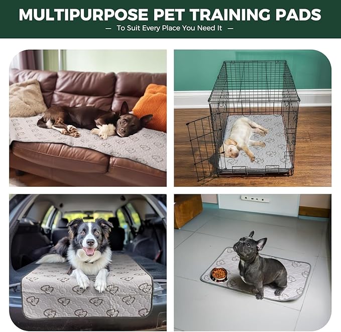 FXW Washable Pee Pads for Dogs, Puppy Pads with Super Absorbent, Specifically Designed for 18inch Cages, 11" x 17" Rectangle, Khaki, 1 Pack
