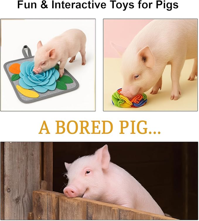 Pig Snuffle Mat and Snuffle Ball for Pigs – Pig Enrichment Toys for Mini Pigs, Potbellied Pigs & Farm Use – Interactive Foraging & Rooting Toy, Slow Feeding Pig Toys Accessories