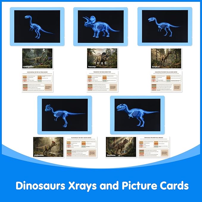 15 Pcs Dinosaur Xrays & Creatures Cards，Animal Xrays for Kids，Light Table Toys，Mythical Creatures Science Kit