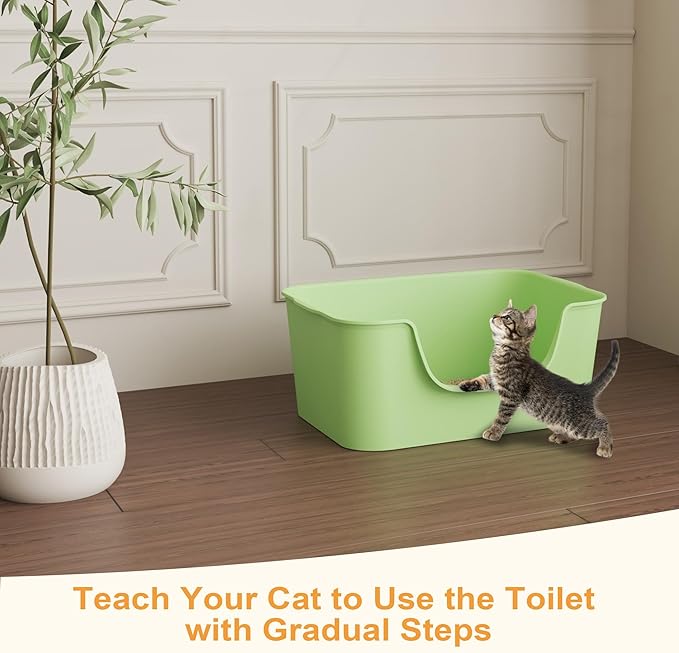 Low Entry Cat Litter Box with High Sides - Open-Top Anti-Splash, Durable Easy-Clean Pan for Kittens, Munchkin Cats, Senior Medium-Sized Cats & Small Pets (Rabbits), 19.3”x13.3”x7.8” Green
