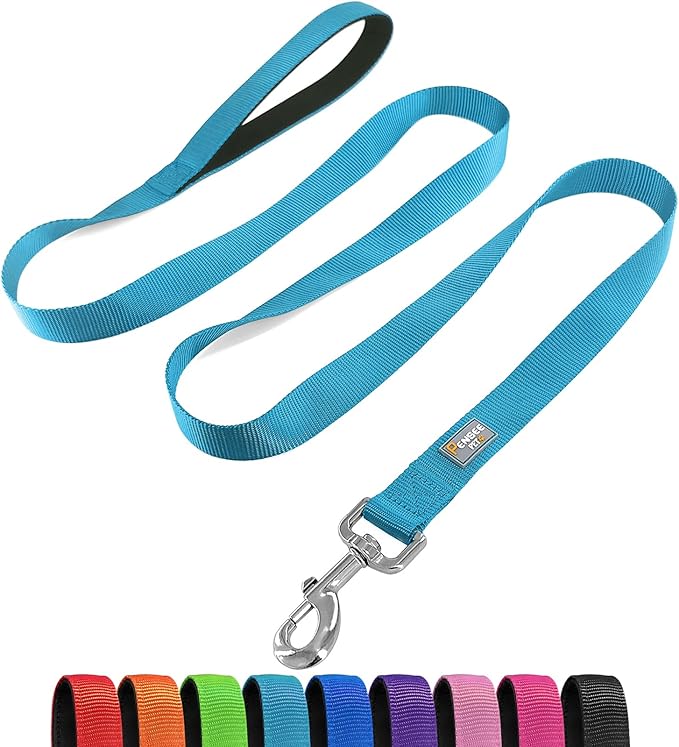 Basic Dog Leashes 6 FT Padded Handle Nylon Dogs Leashes for Small Dogs Light Blue