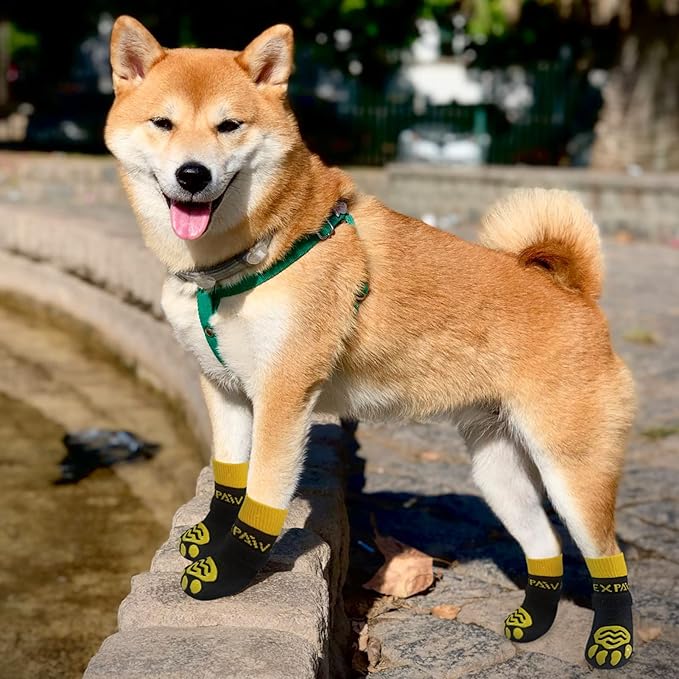 EXPAWLORER 6PCS Anti-Slip Dog Socks to Prevent Licking Paws,Dog Shoes for Hot Pavement,Best Paw Protector Traction Control on Hardwood Floor,Dog Booties for Puppy Small Medium Large Senior Dogs