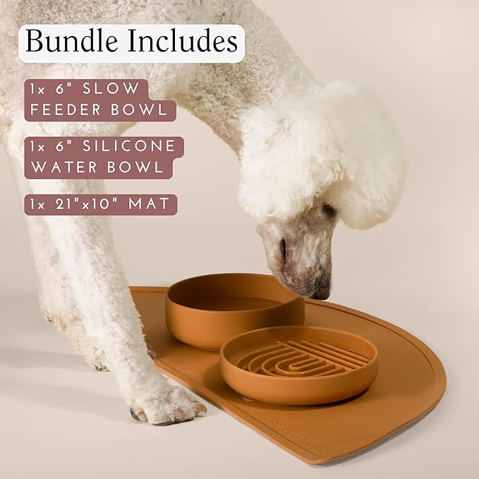 Should We Go? Silicone Pet Feeding Set - Slow Feeder Bowl, Waterproof Mat & No-Spill Water Bowl, Non-Slip, Easy-to-Clean, Durable, Large-Terracotta for Dogs & Cats