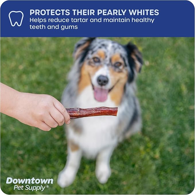 Downtown Pet Supply USA Sourced Bully Sticks for Dogs - Grass-fed Beef Chews, Low-Odor & Rawhide-Free, Long Lasting Dog Treats for Heavy Chewers - Healthy, Safe & Delicious Chews (6" 15 Pack)