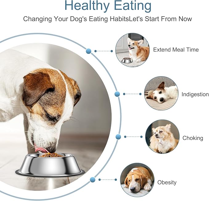 2-in-1 Metal Dog Bowl with Slow Feeder Insert, Food Grade 304 Slow Feeder Dog Bowls, Non-Slip Bottom, Pet Slower Food Feeding Bowls for Increases Feeding Time, Reduces Digestive Problems (M)