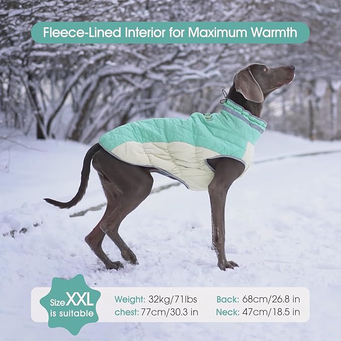 FUAMEY Dog Coat for Small Dogs,Waterproof Dog Winter Jacket with Harness Built in Puppy Cold Weather Coats Reflective Pet Vest with Zipper Warm Fleece Dogs Snowsuit Windproof Mint Green S