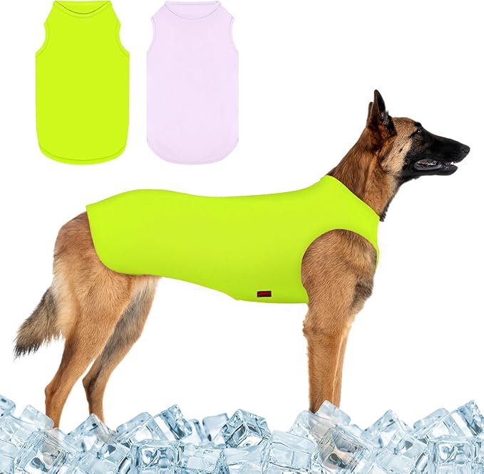 2 Pack Dog Shirts, Ice Pet Vest Dog Clothes for Instant Cooling, Lightweight Breathable Sleeveless T-Shirts for Medium Large Dogs, Light Purple+Fluorescent Green (L)
