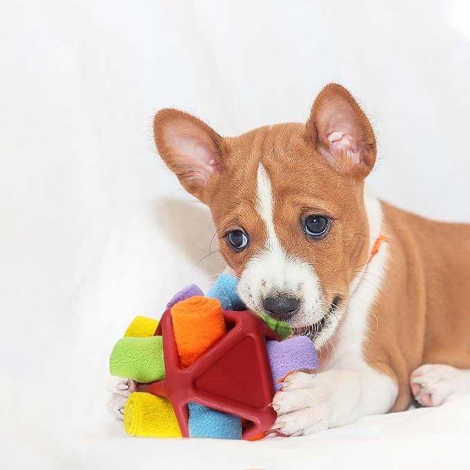 awakentti Puppy Chew Toys, Dog Treat Dispenser Toy, Pet Anxiety Relief and Calming Aid, Puppy Teething Toys for Small Medium Dogs (A)