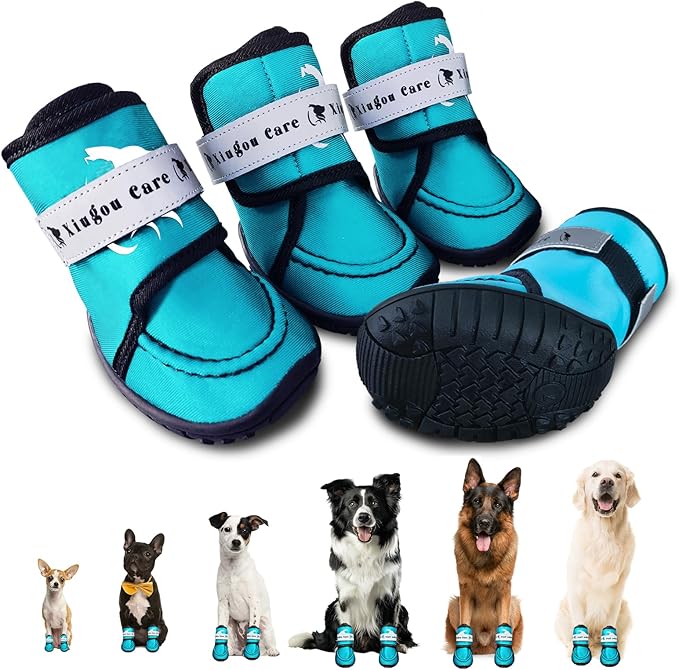 Dog Shoes for Small, Medium and Large Dogs - Waterproof for Rainy Days, Fit for Winter Snow and Hot Summer Roads, with Anti-Slip Soles for Indoor Hard Floors (Blue, Size 8)