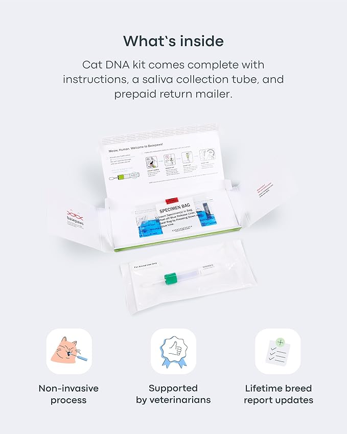 Basepaws Cat DNA Test Kit 2 Pack - 21+ Breeds, 114+ Health and Dental Traits for Comprehensive Accurate and Easy-to-Use Genetic Insights