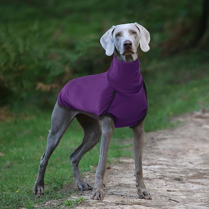 ROZKITCH Pajamas for Large Dogs, Pet Windproof Warm Cold Weather Jacket Vest Cozy Jumpsuit Apparel Outfit Clothes for Walking Hiking Travel Sleep Purple 4XL