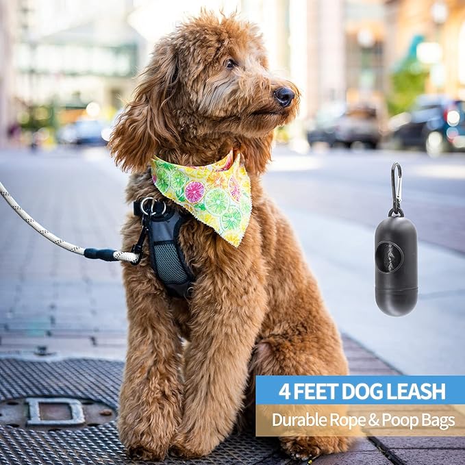 BAAPET 2/4/5/6 FT Dog Leash with Comfortable Padded Handle and Highly Reflective Threads for Small Medium and Large Dogs (4FT-1/2'', Silver)