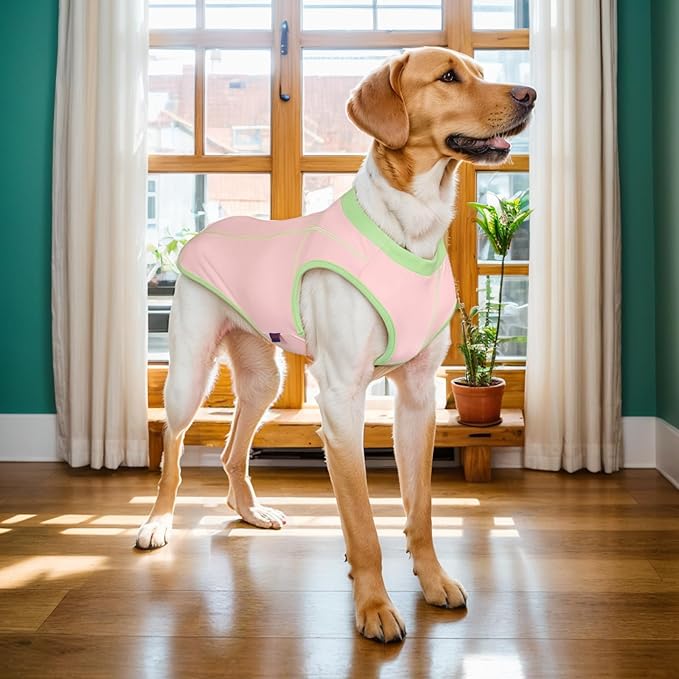 2 Pack Dog Summer Clothes Color Blocking Dog Shirts for Medium/Large Dogs Stretchable Doggy Cooling Vest Breathable Sun Protection Shirt Fashion & Bright Color for Boys Girls