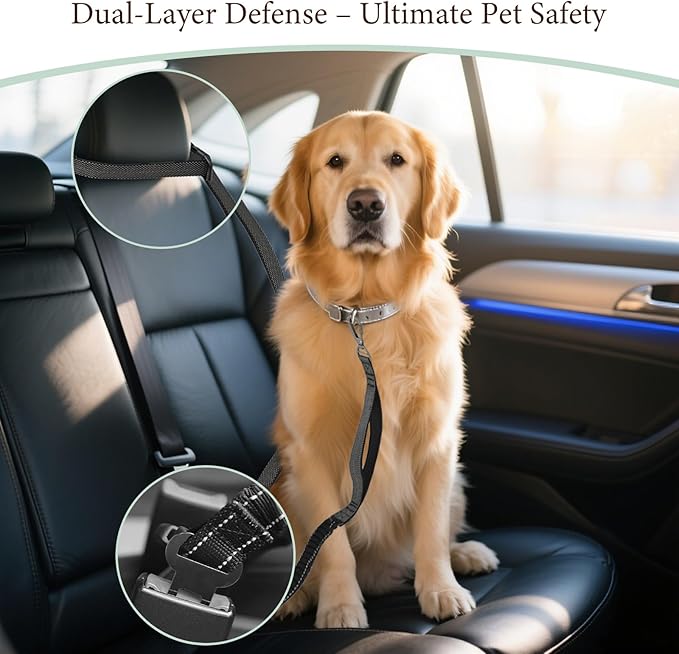 Hands-Free Dog Leash - Tactical Rope with No Pull Bungee Tangle Free Clip, Adjustable Length for Multi-Use, 2-Handle with Reflective Strip, Lead for Hike Run Small Medium Large Pet (Black)