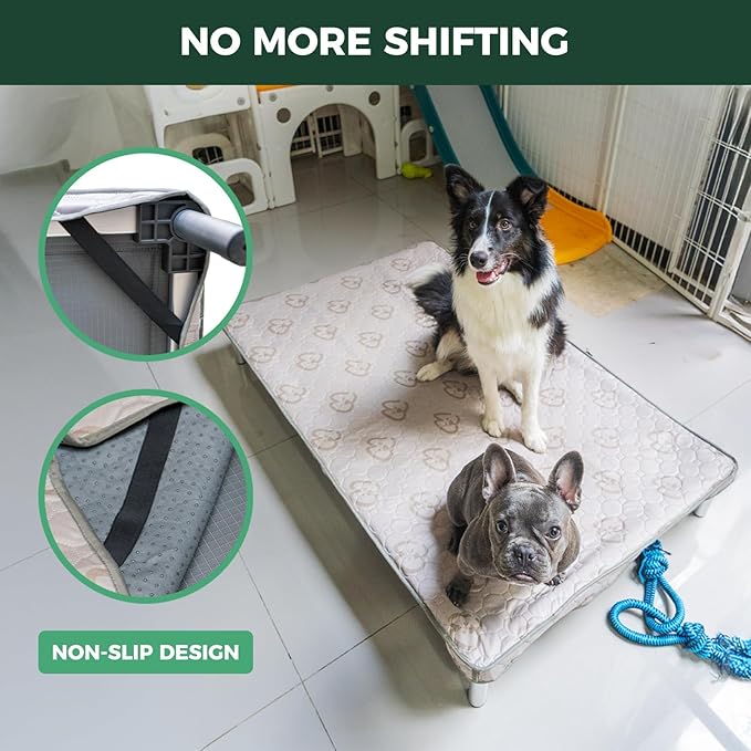 FXW TitanNest Chew-Proof Elevated Dog Bed, Raised Cot for Indoor/Outdoor/Camping Use, Durable & Washable Padded Pet Bed with Exclusive Cover for Toy Dogs, 24.0" L x 20.0" W x 4.1" H, Gray