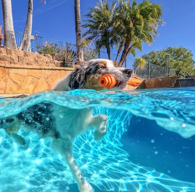 PROJECT HIVE ·PET COMPANY· - Sweet Mango Scented - Hive Dog Fetch Stick for Large Breeds - Dog Stick Toy - Floats in Water - Treat Dispenser Toy - Durable and Tough - Made in The USA