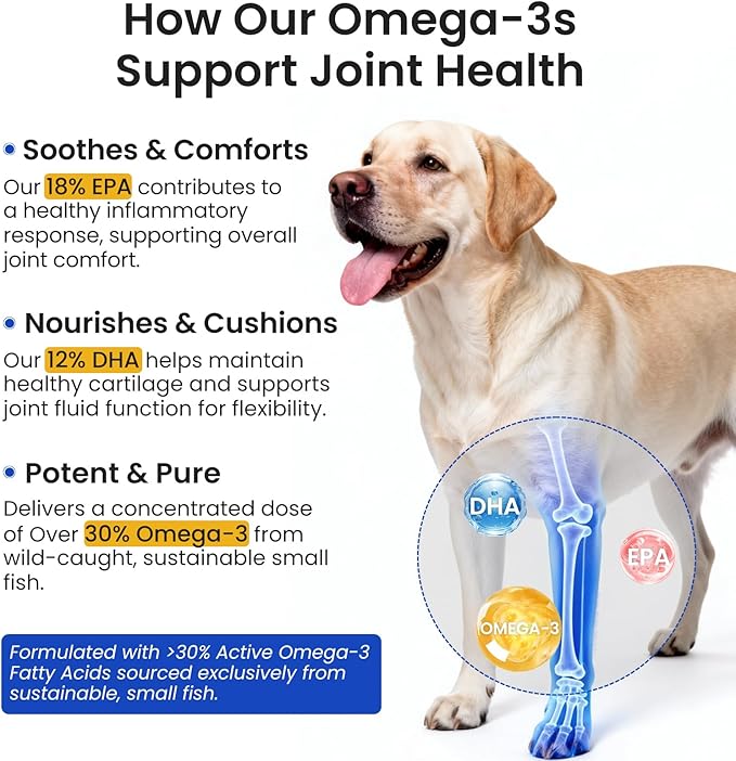 Omega-3 Fish Oil for Dogs & Cats - IFOS Certified 5-Star - High Potency 30% EPA+DHA from Wild Small Fish - Supports Skin, Coat, Joints & Heart - Liquid Pump Supplement, 16.9oz