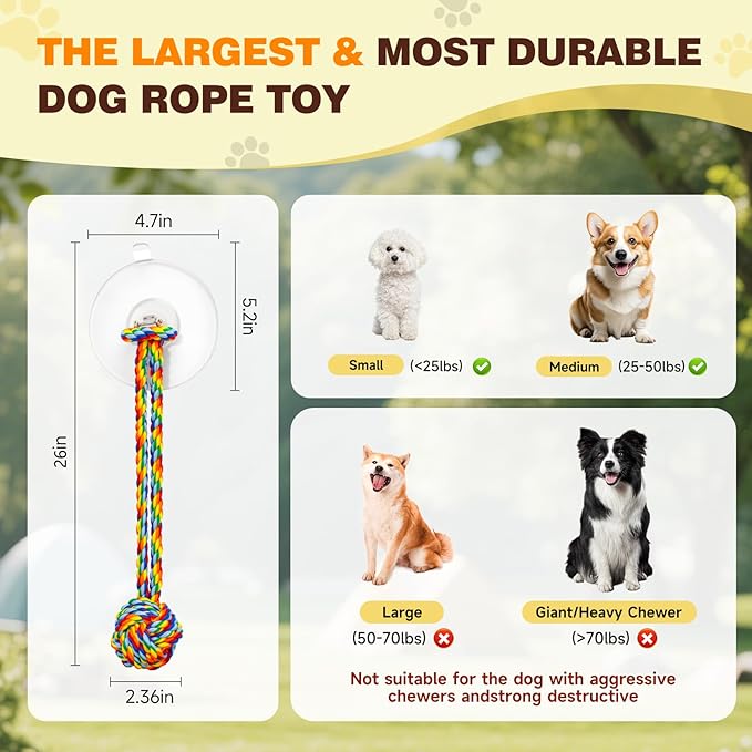 Interactive Dog Toys to Keep Them Busy, Tug of War, Dog Enrichment Toys for Aggressive Chewers, Puppy Teething Toys,Durable Rope & Chew Ball, Indoor Toys Small Medium Dogs，Rainbow