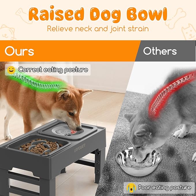 URPOWER 2-in-1 Elevated Slow Feeder Dog Bowls with No Spill Water Bowl & 2 Story Cat Bed for Indoor Cats