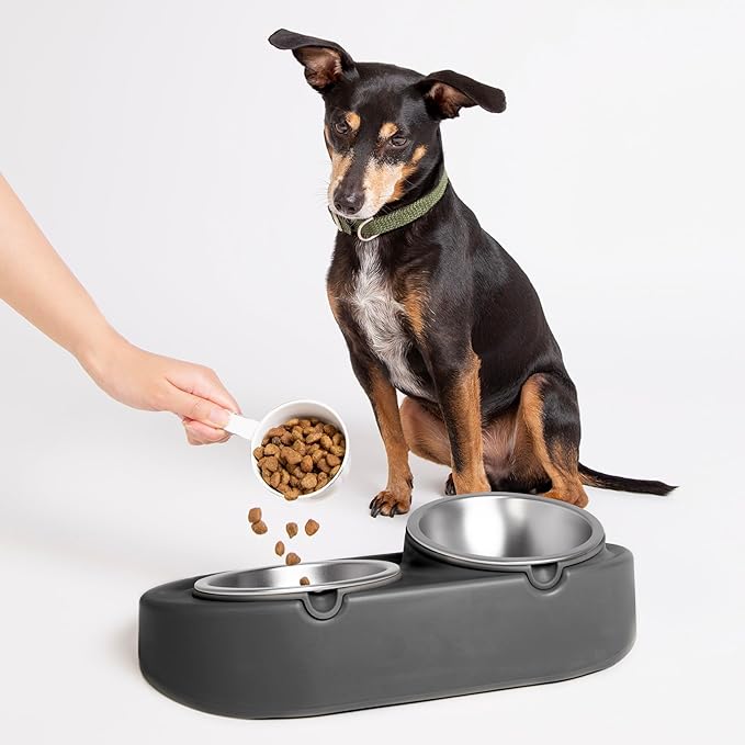 Ubbi Pet Feeding Bowls Set with Non-Slip Mat, Elevated & Flat Stainless Steel Dog or Cat Bowls, Ergonomic 15° Angled Feeder, Dishwasher Safe, Charcoal Gray