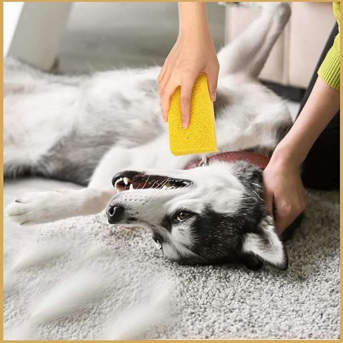 8 Pack Pet Hair Lifter Remover Sponge Cat and Dog and Other Pet Hair from Furniture, Carpet, Bedding and Clothing, Removal Tool, 5.91 x 2.76 x 1.57 Inches