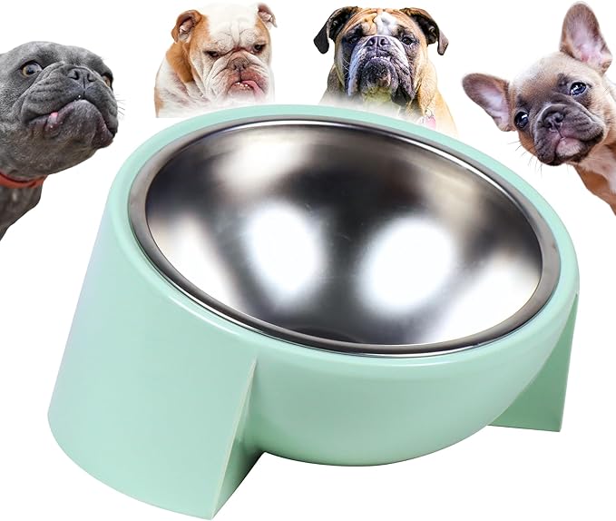 Tilted Dog Bowl for Flat-Faced & Senior Dogs, 15° Slanted Stainless Steel Dog Food Bowl, Elevated Pet Feeder for Small & Medium Dogs, Comfortable Eating Design (Green, M (420 ML / 1.5 Cups))