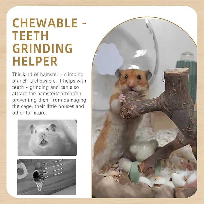 kathson 2Pcs Wood Hamster Climbing Branches Decor, Natural Wooden Syrian Hamster Climb Chewing Toys, Rat Exercise Toys, Small Animal Habitat Decor Accessories for Dwarf Pets, Mice, Gerbils